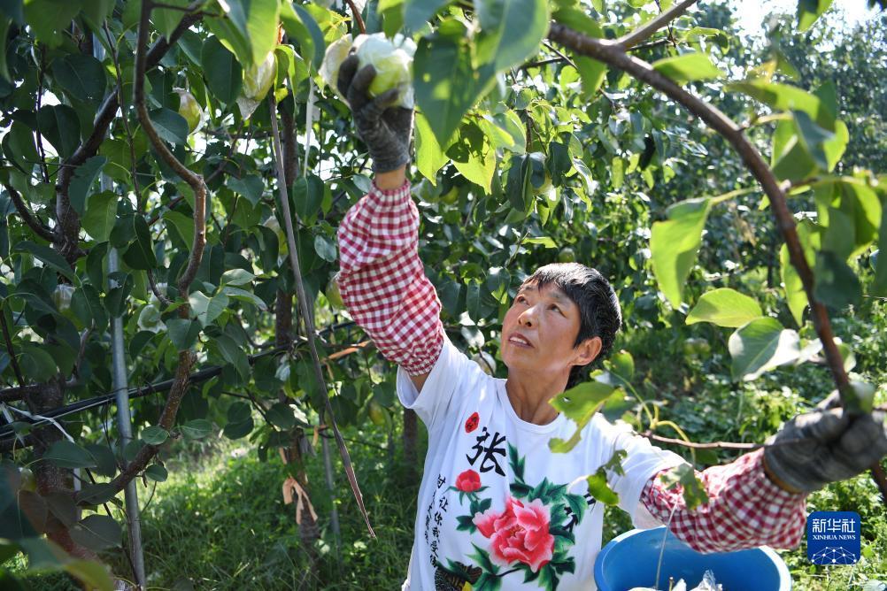 富都娱乐会员登录